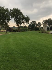 New Lawn created in Surrey