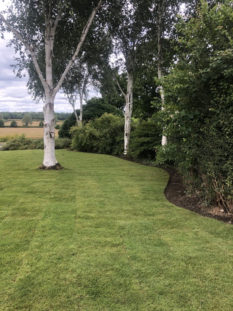 Perfectly Manicured Lawn in Surrey