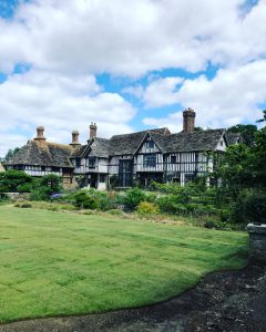 Large lawn freshly laid by Surrey Turf, using Rye Turf.