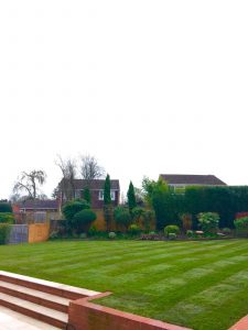 New Lawn laid by Surrey Turf with Rye Sport hard wearing turf.