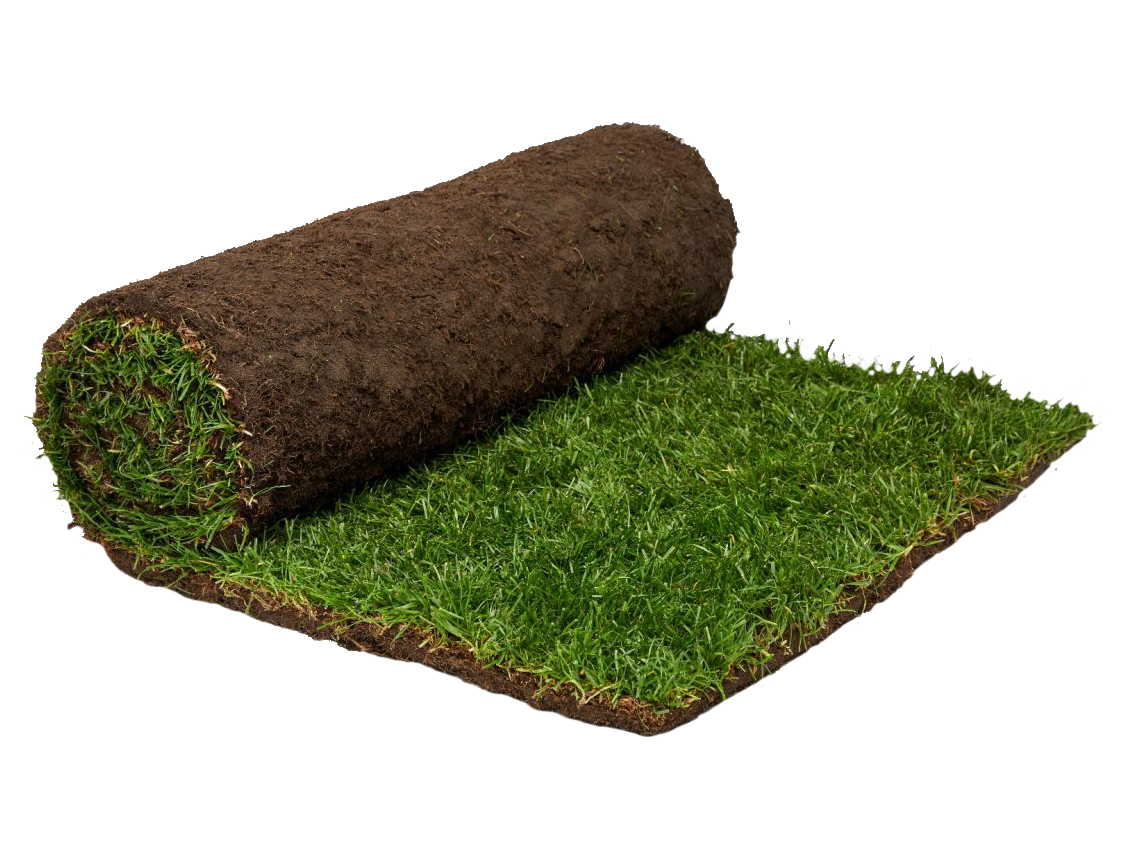 Turf Rolls Surrey