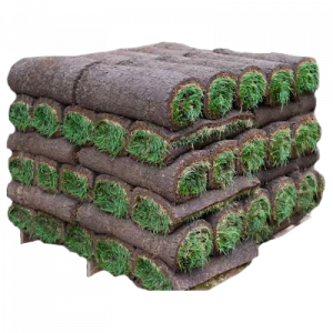 Image of a pallet of turf in png format. Rye Turf Supply in Rolls or Pallets.