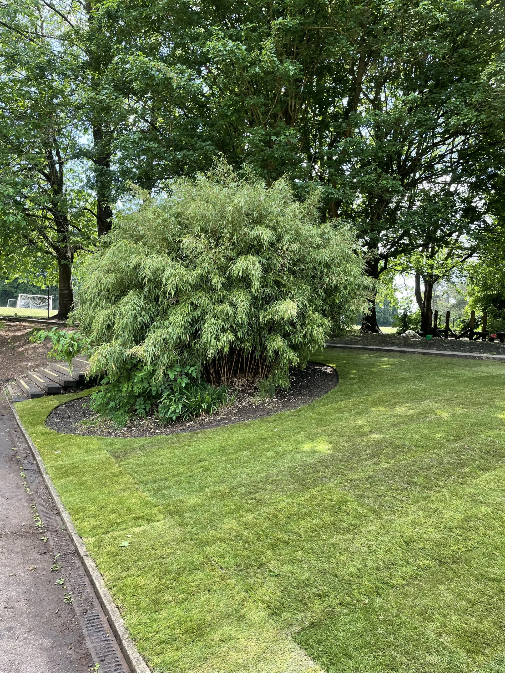 Turf installation Esher