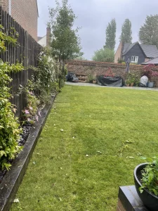 New Rye turf lawn finished.