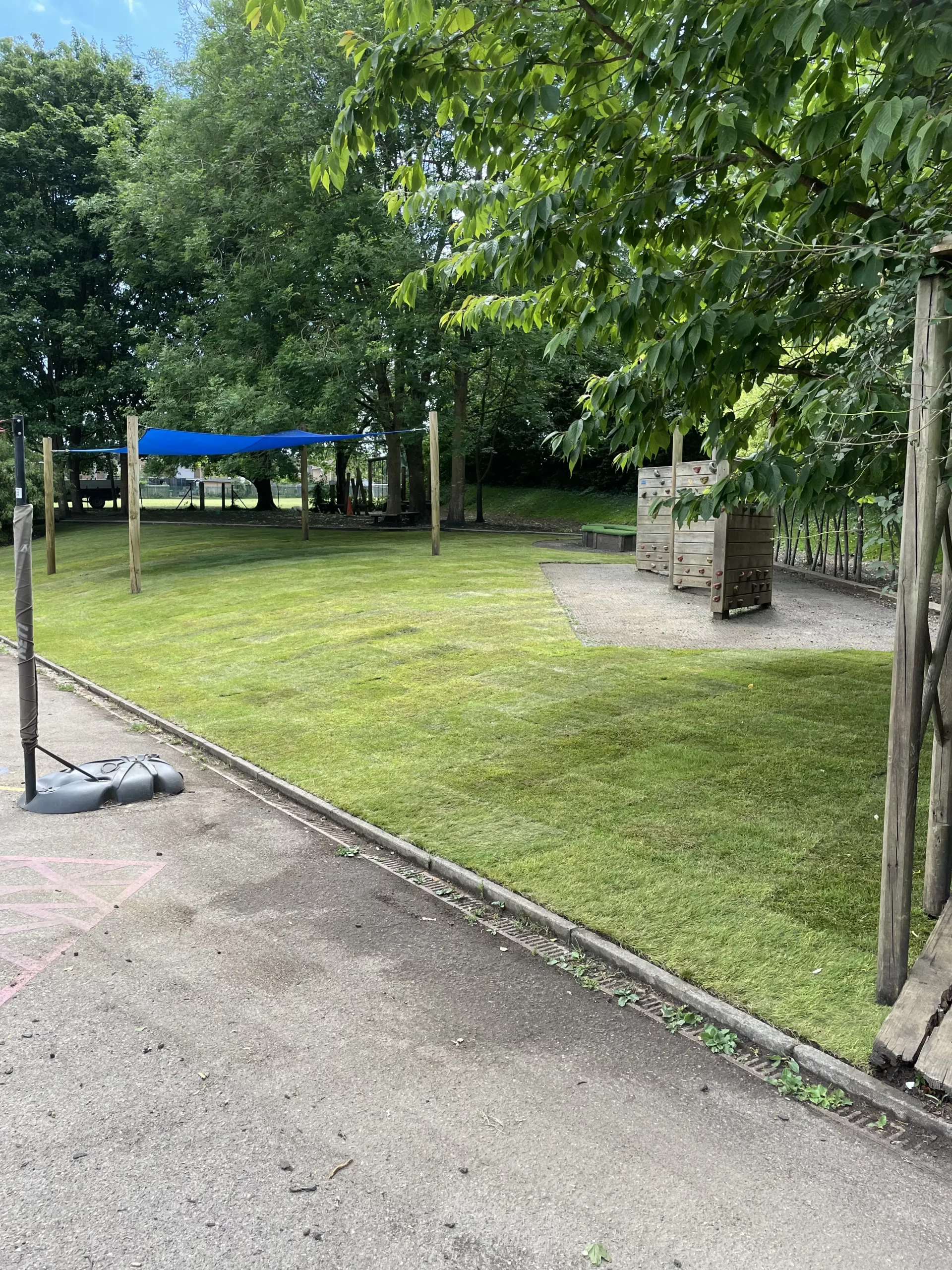 Turf installation Weybridge