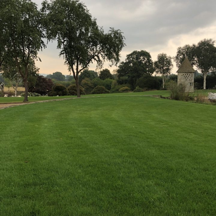 New Lawn created in Surrey